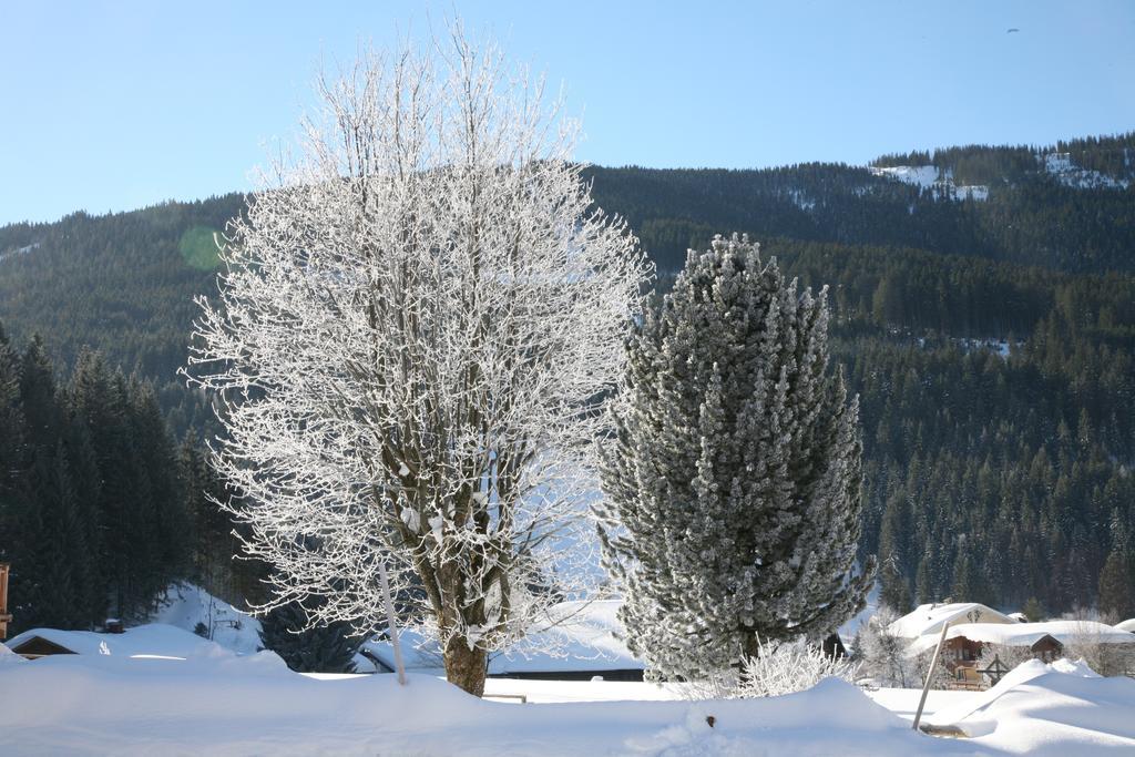 Zur Lieben Sonne Daire Filzmoos Oda fotoğraf