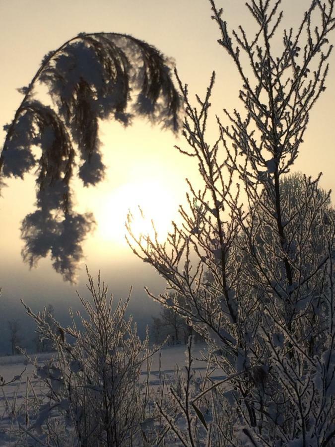 Zur Lieben Sonne Daire Filzmoos Dış mekan fotoğraf