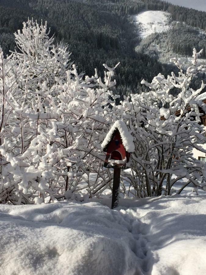 Zur Lieben Sonne Daire Filzmoos Dış mekan fotoğraf